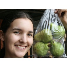 NEW SEASONS PACKHAM PEARS  -  1KG Bag Gisborne Grown